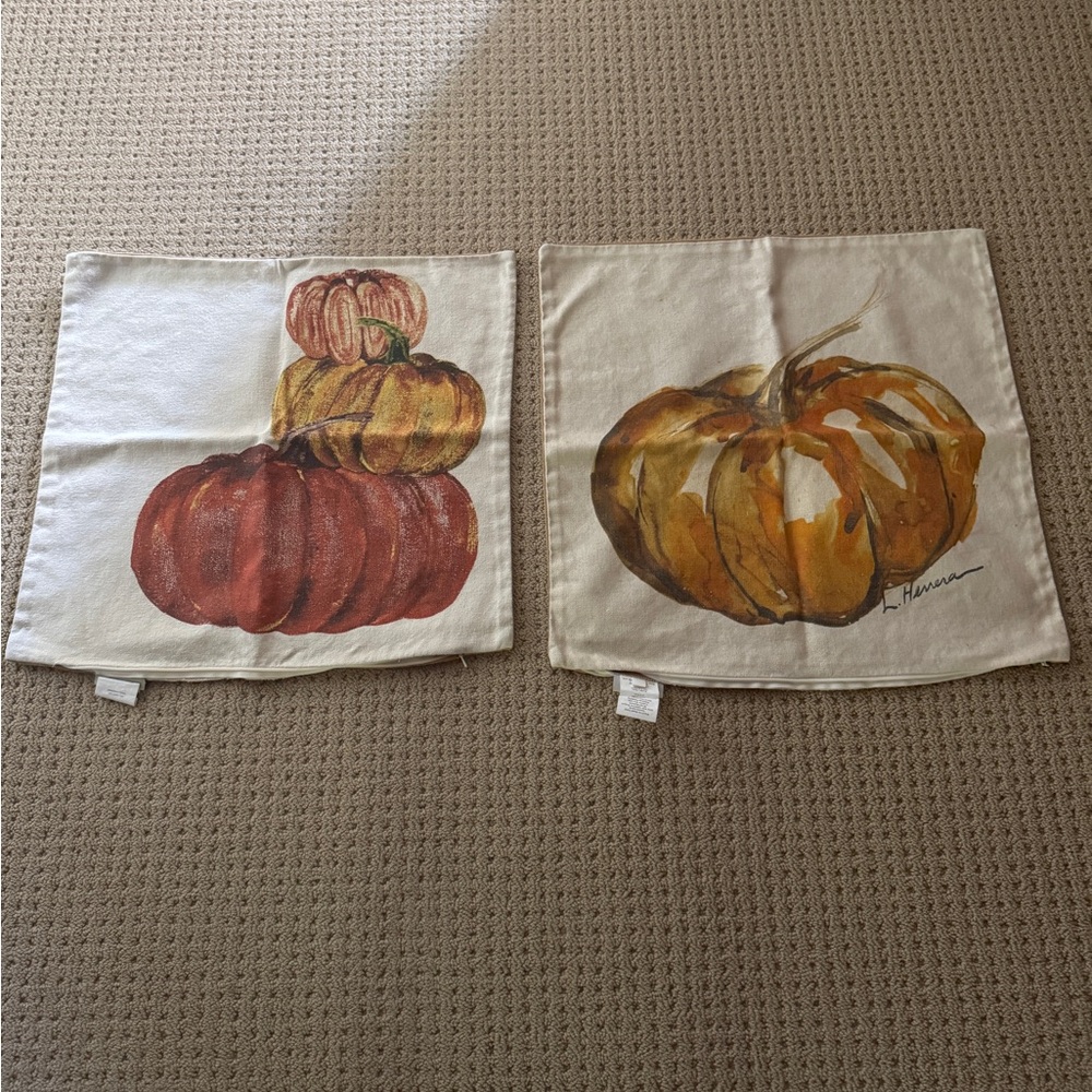 Pottery Barn Autumn Harvest Pillow Covers set of two.